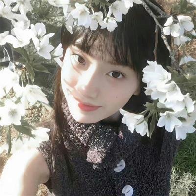 动画片